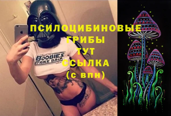 герыч Инсар
