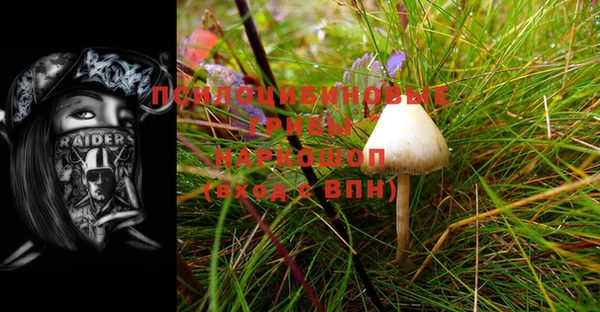 герыч Инсар